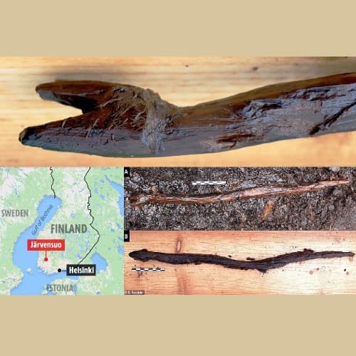 A wooden snake from 2400 BC Corded Ware Culture
