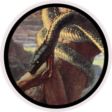 indo-european Mighty Serpent Jörmungandr वृत्र vṛtra Zmey Gorynych Vishap Balaur Typhon icon