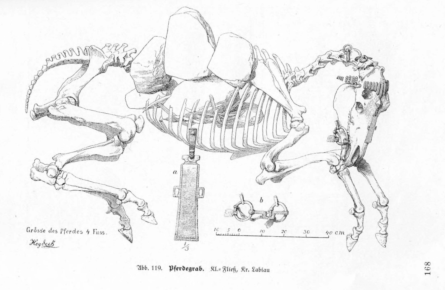 Horse burial from Polessk (Labiau, Prussia) from 3rd century AD