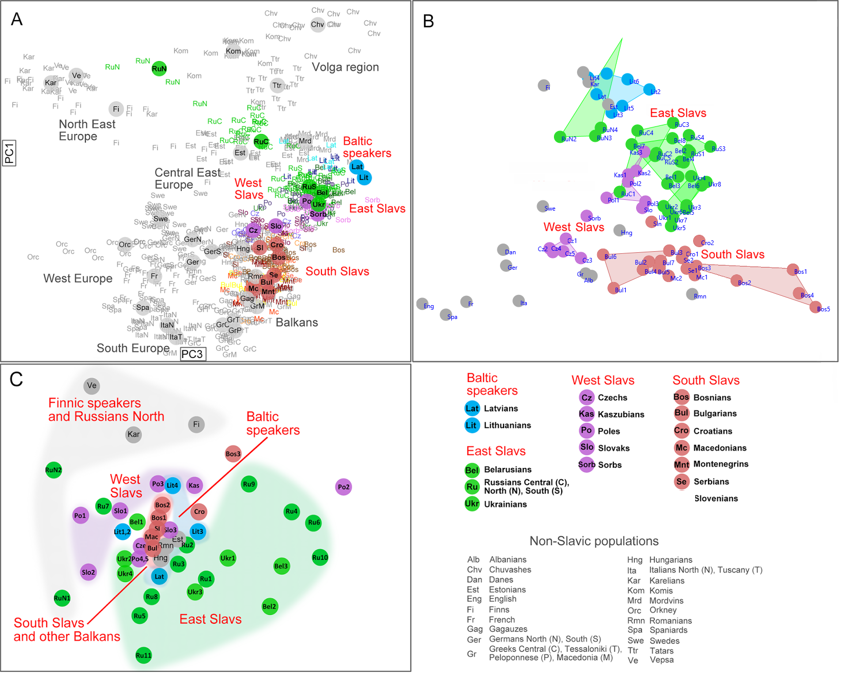 atDNA PCA chart of Lithuanians and Latvians