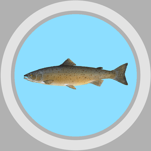 indo-european salmon lax laks lahs losos lasisa icon
