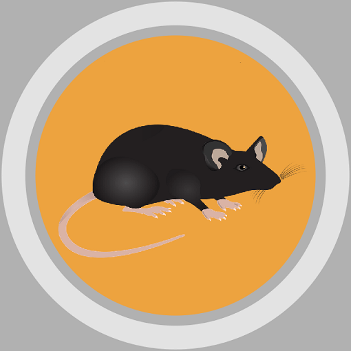 indo-european mouse maus mus mūs mys mysz icon