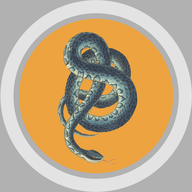 indo-european snake angis angui aži wąż užovka unke serpens serpent sarpa naga icon