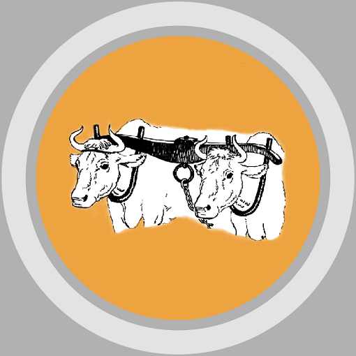 indo-european yoke with two white cows used for ploughing yoga icon